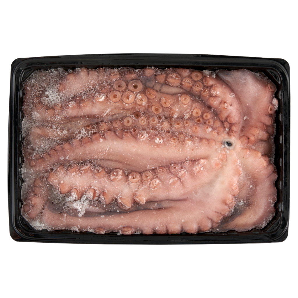 Polip (500/1200g.)
