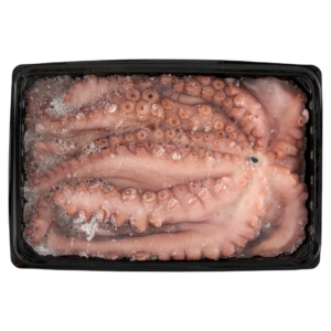Polip (500/1200g.)